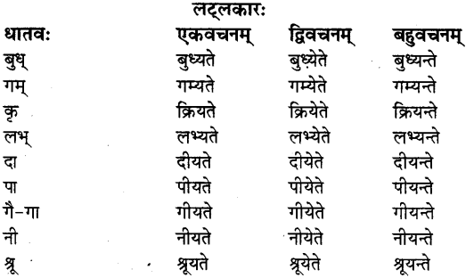 Vachya In Sanskrit 2