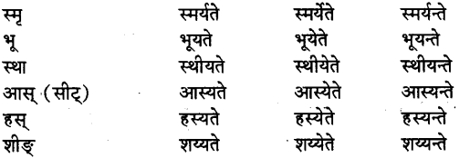 Vachya In Sanskrit 3