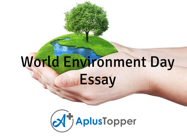 environment week essay
