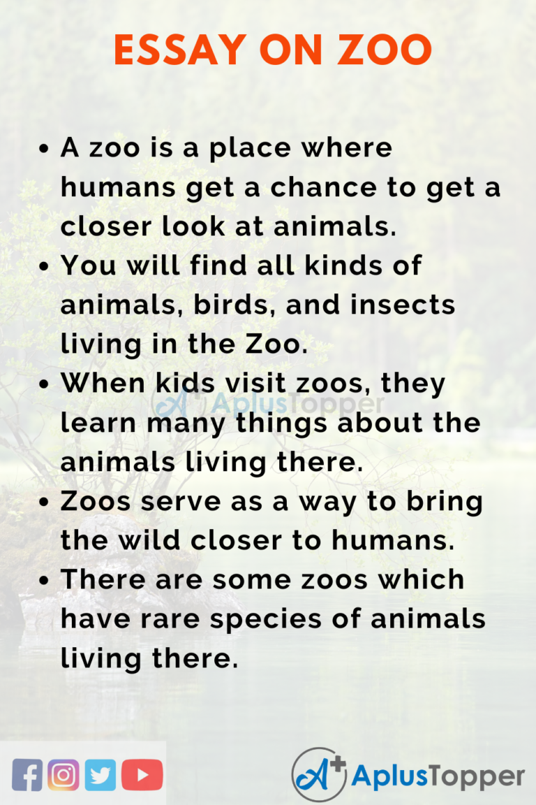 essay on zoo for class 6