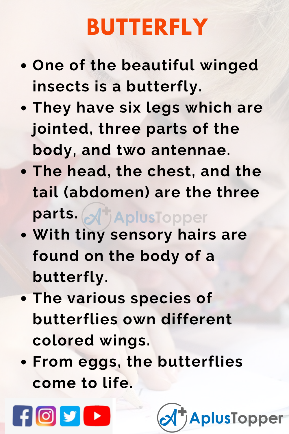 i am a butterfly essay for class 4