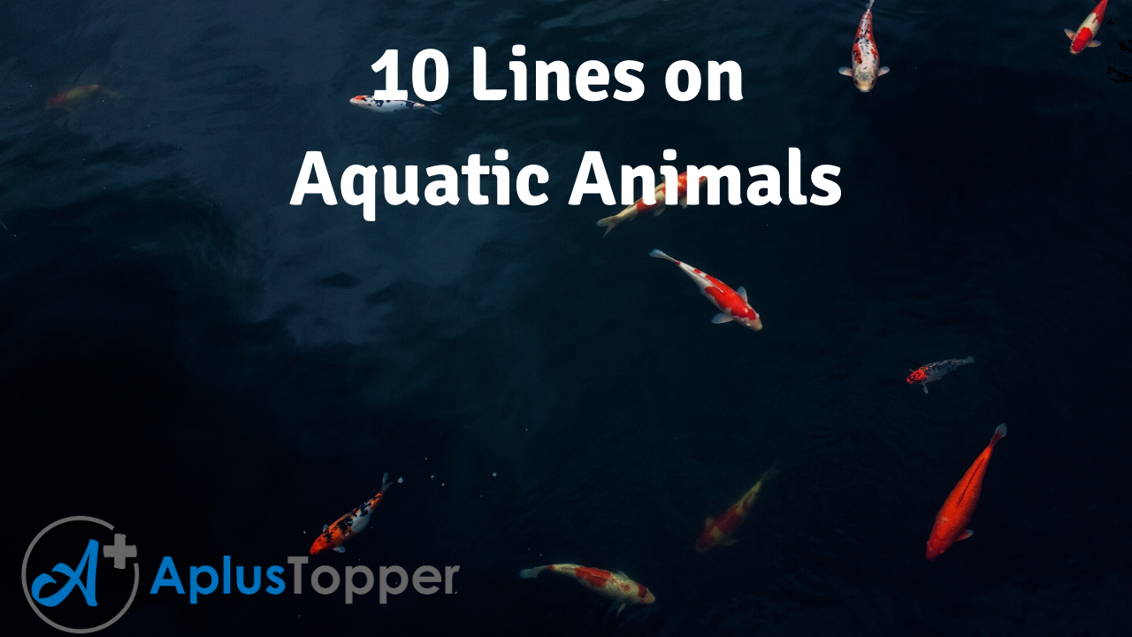 10 Lines on Aquatic Animals for Students and Children in English - A Plus  Topper