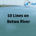10 Lines on Betwa River