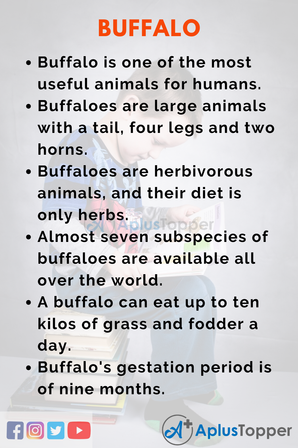 10 Lines on Buffalo for Kids