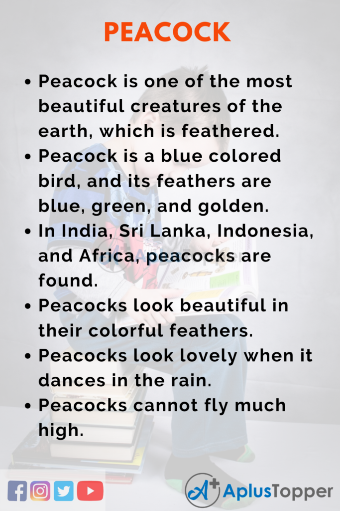 peacock essay for class 1