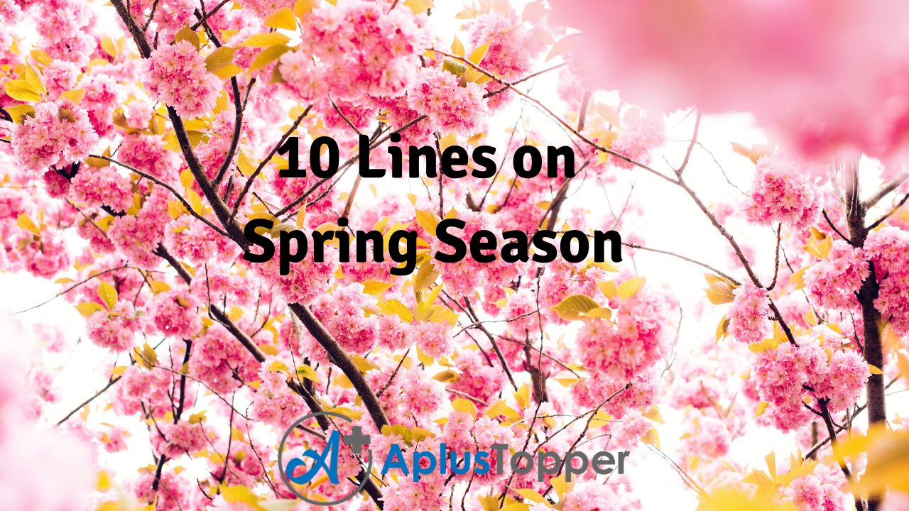 10 Lines on Spring Season for Students and Children in English - A ...