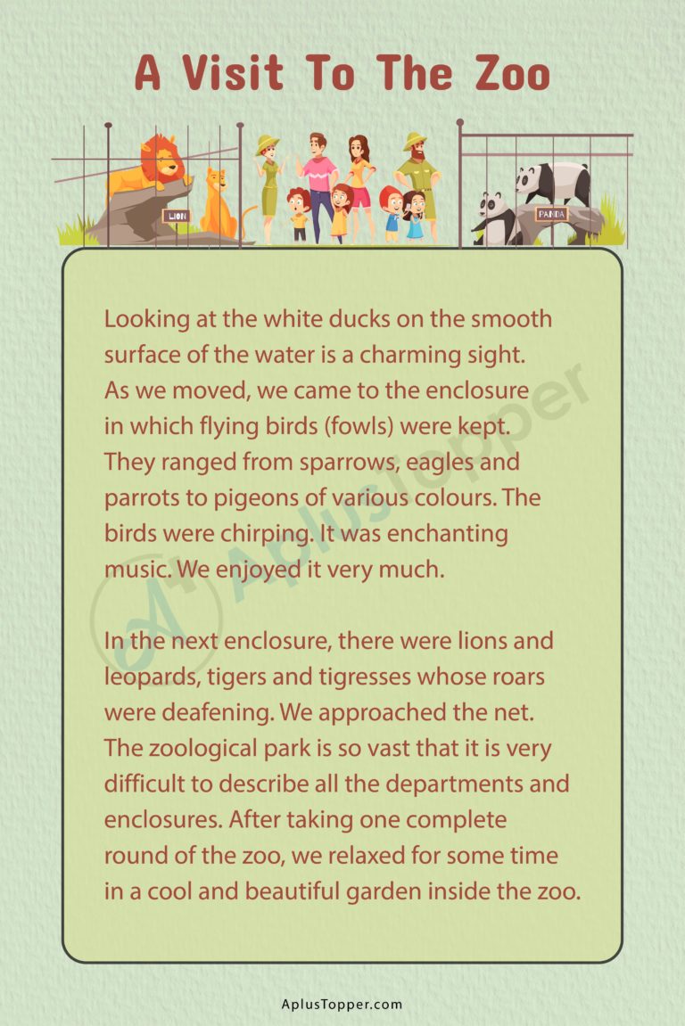 i visited the zoo essay