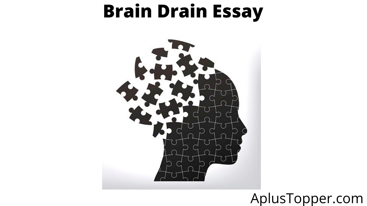 brain drain essay grade 11