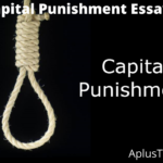 Capital Punishment Essay
