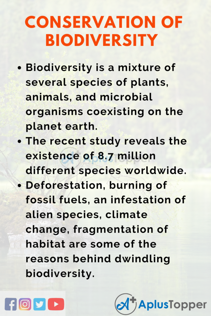 best essay on biological diversity