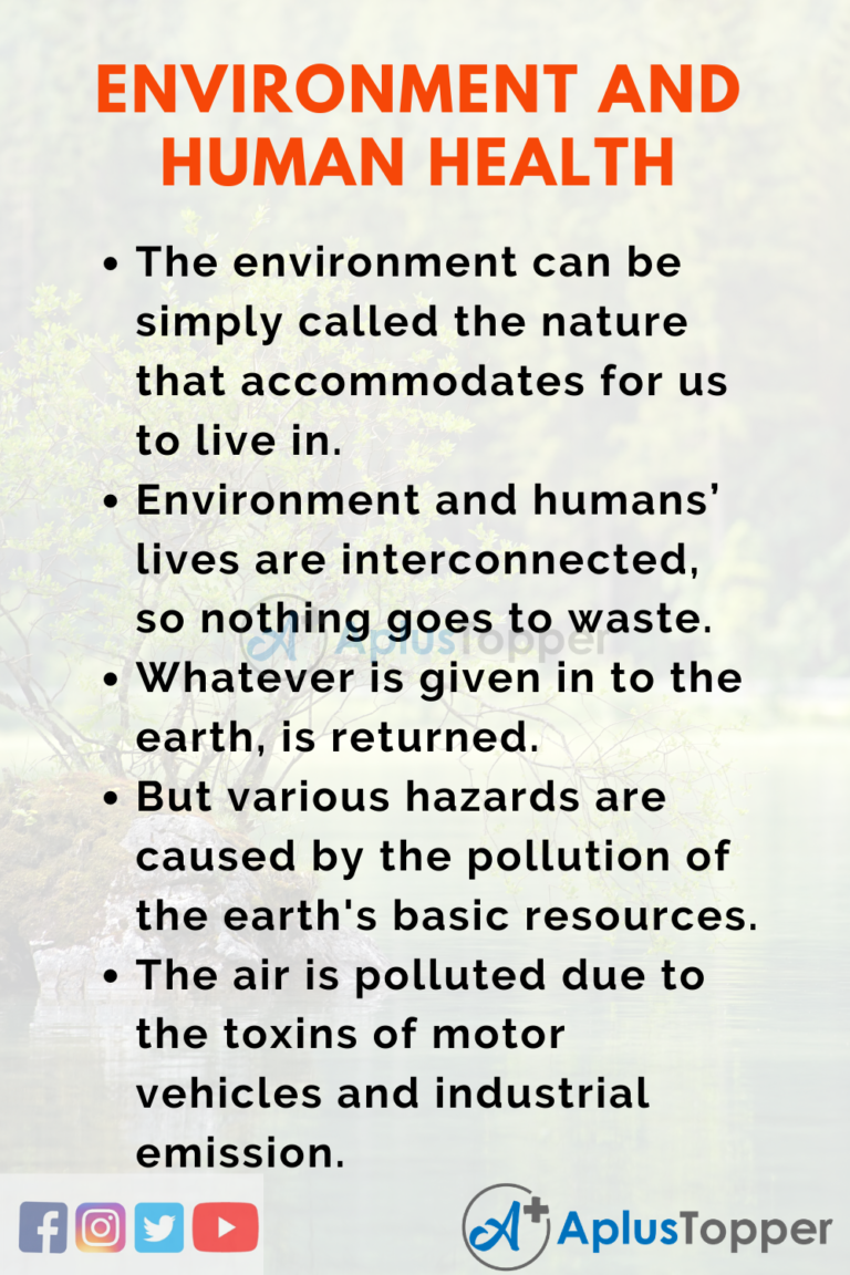 essay about community and environmental health