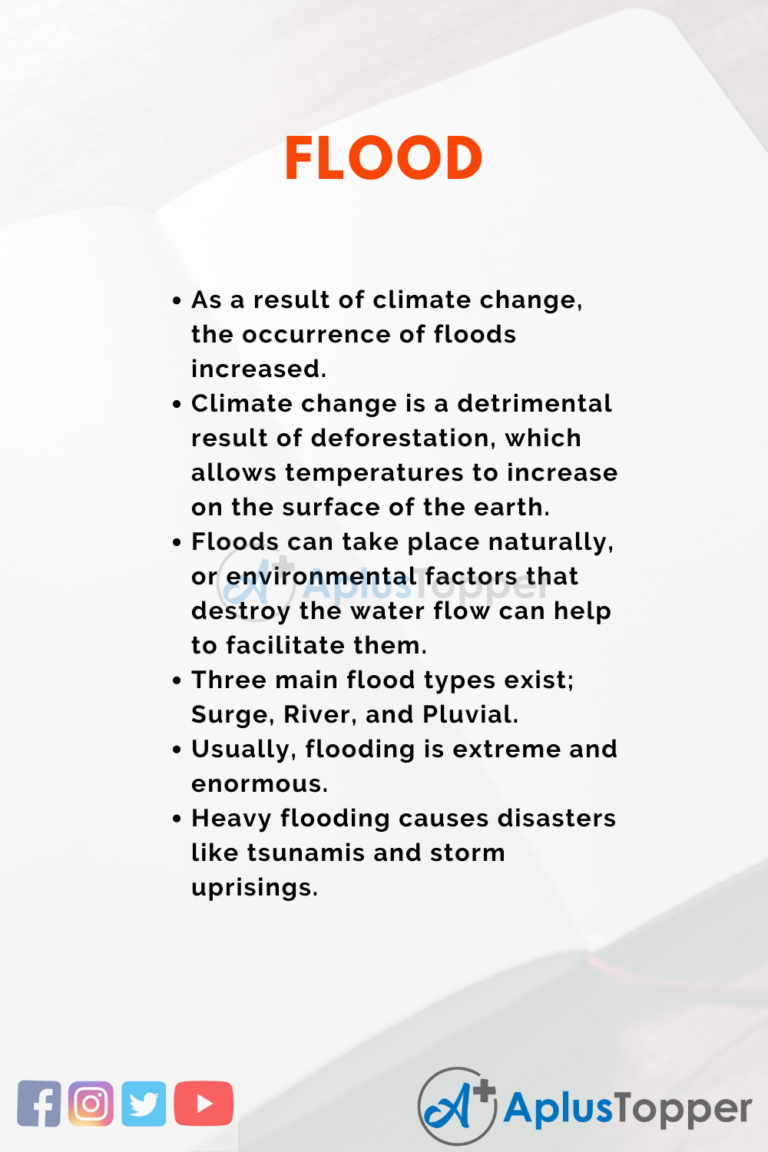 what is a flood essay