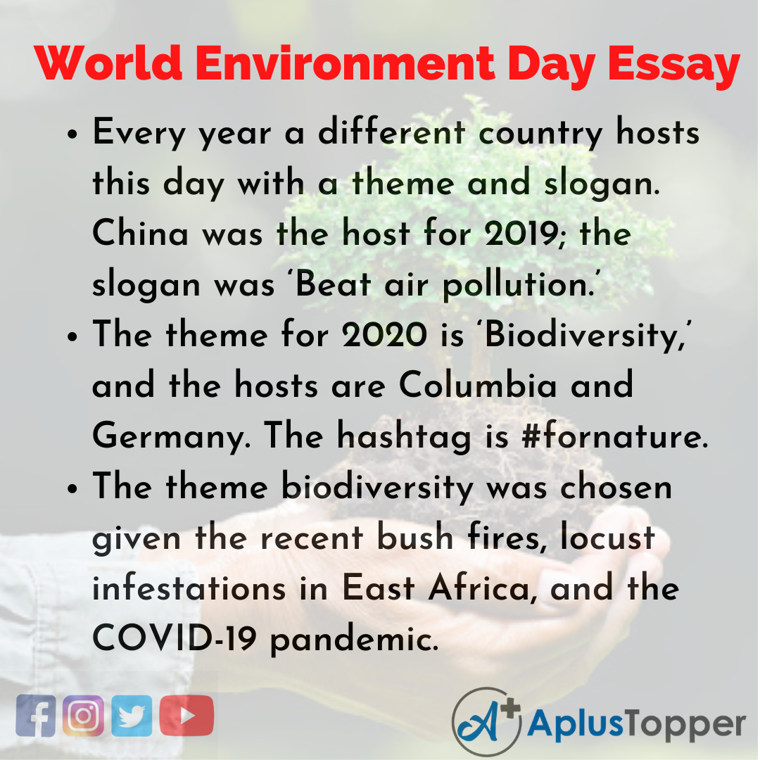 Essay about World Environment Day