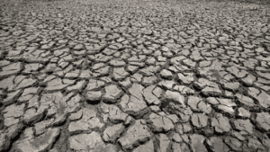 essay on drought for class 9