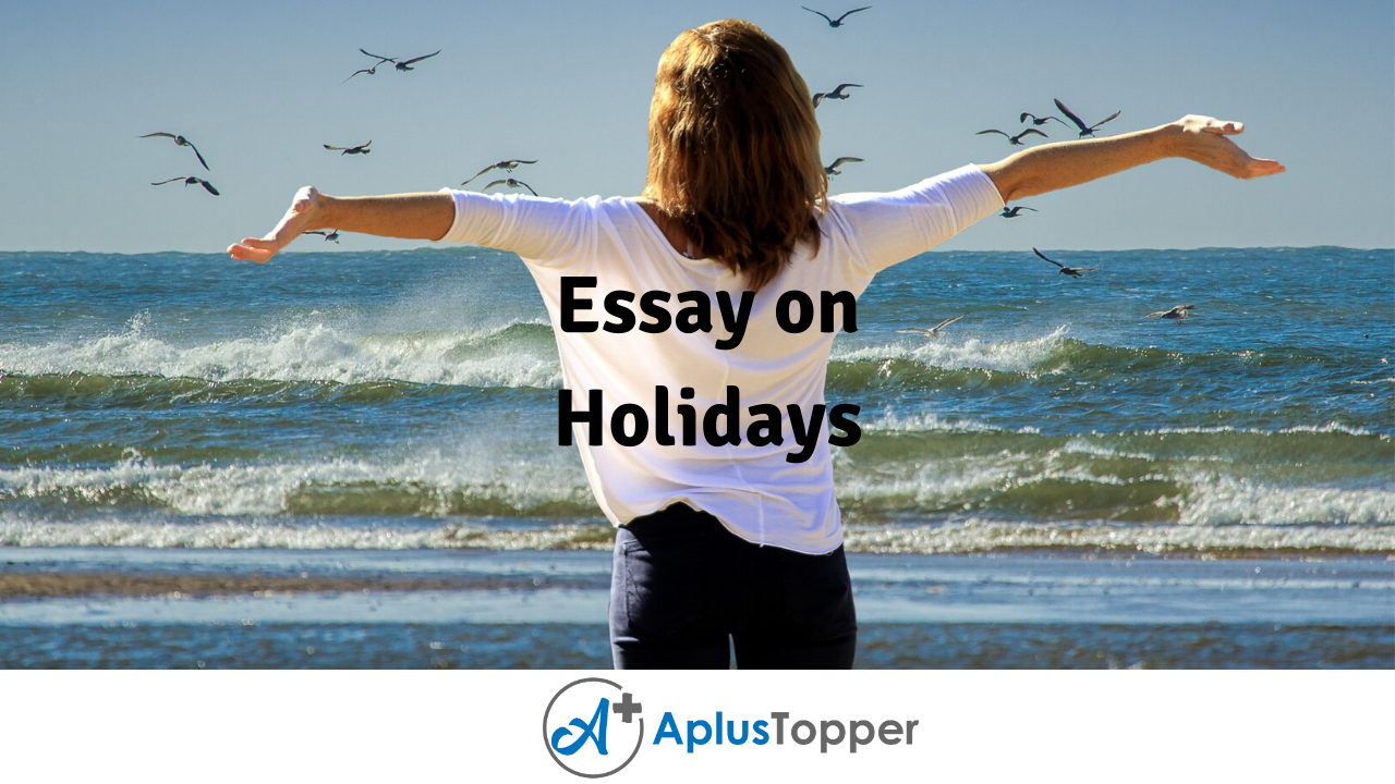 essay on holidays for students