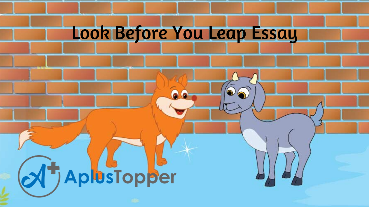 look before you leap essay