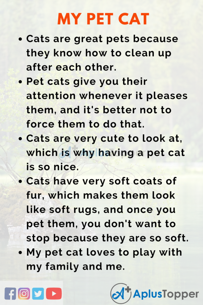 my pet cat short essay