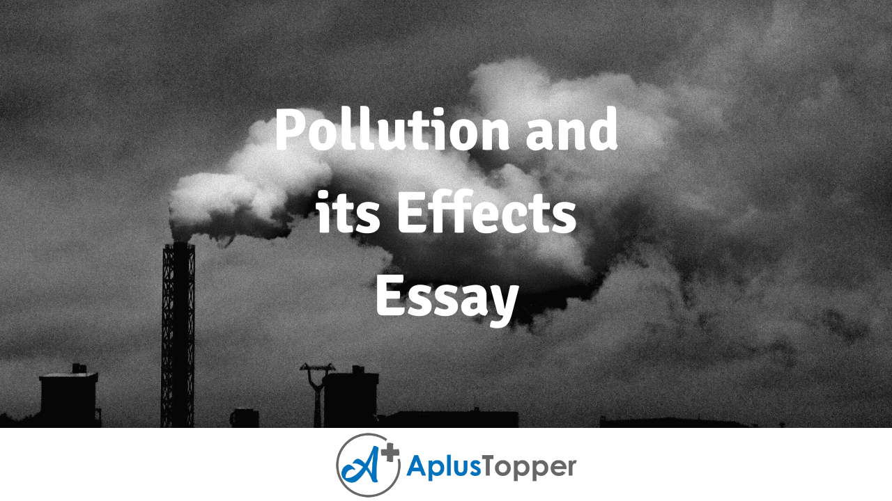 essay on effects of pollution