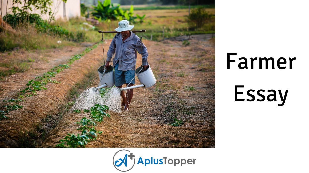 write a short essay on how farmers are useful in our life