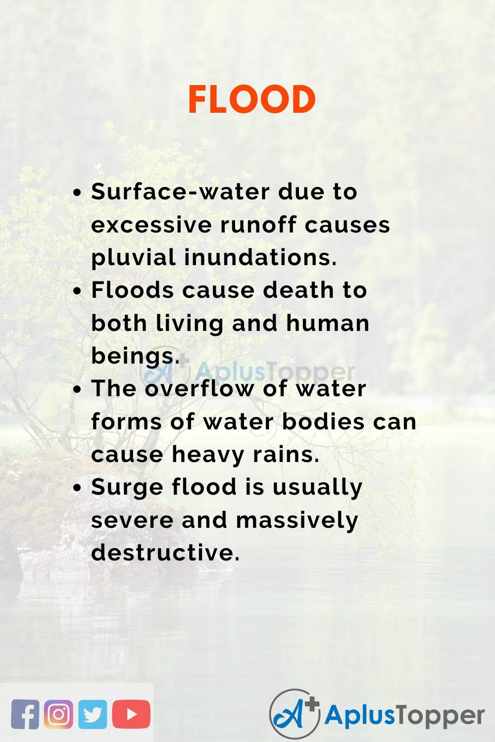 essay on flood and its effects