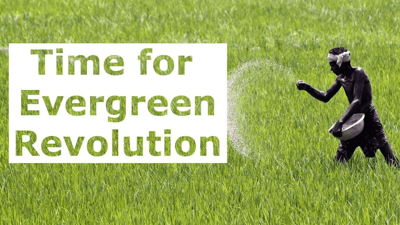 Green Revolution Essay