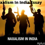 Naxalism In India Essay
