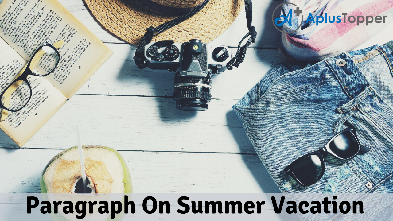 essay on summer vacation 300 words