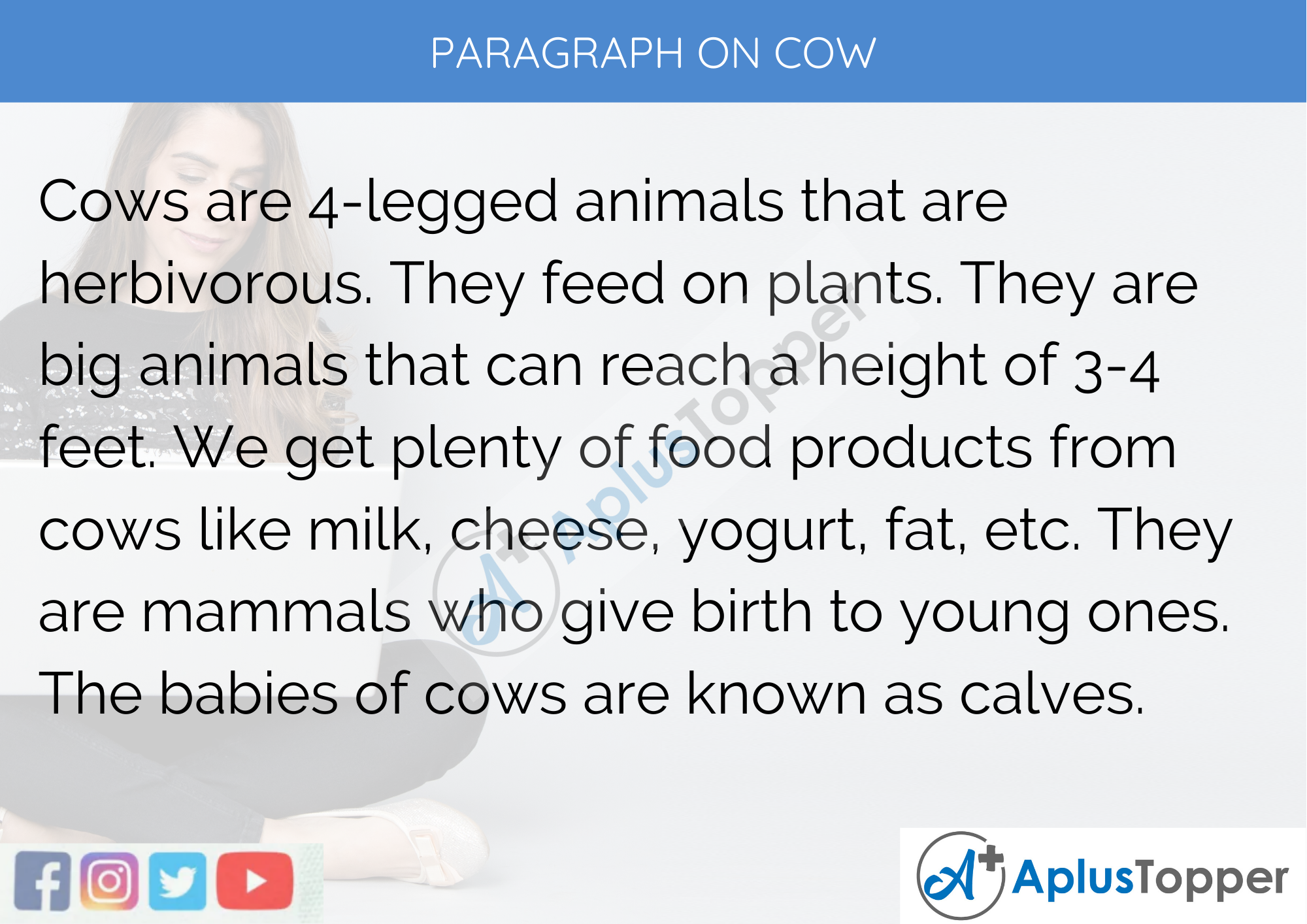 Paragraph on Cow 100, 150, 200, 250 to 300 Words for Kids, Students, and  Children - A Plus Topper