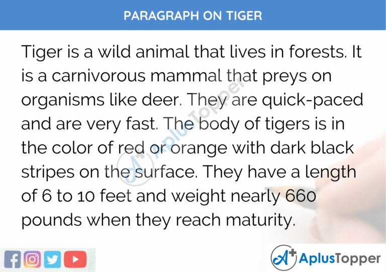 short essay on tiger in english 150 words