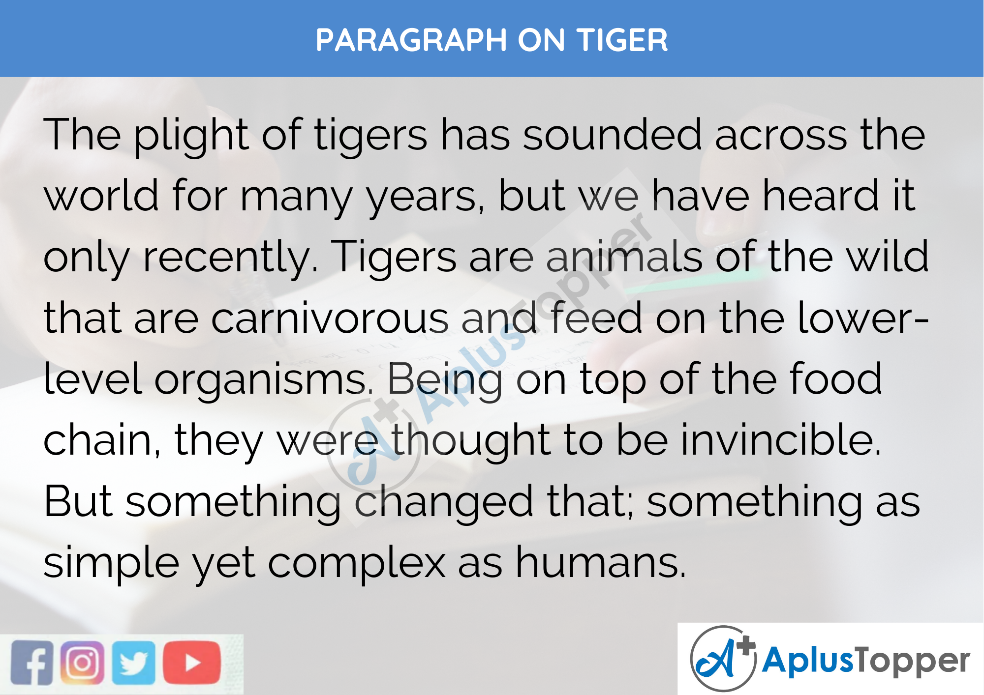 Paragraph On Tiger 100, 150, 200, 250 to 300 Words for Kids, Students and  Children - A Plus Topper