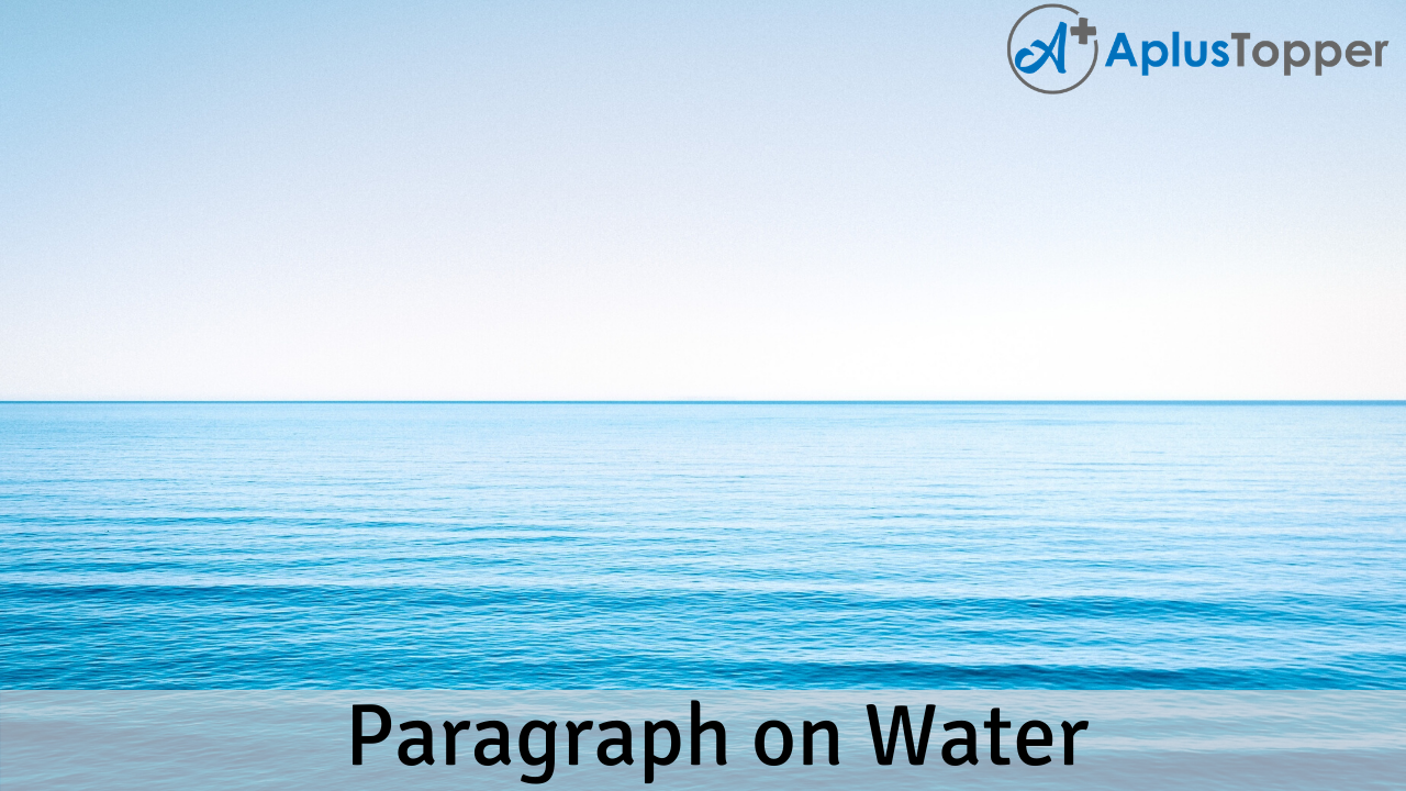 The color of water essay help
