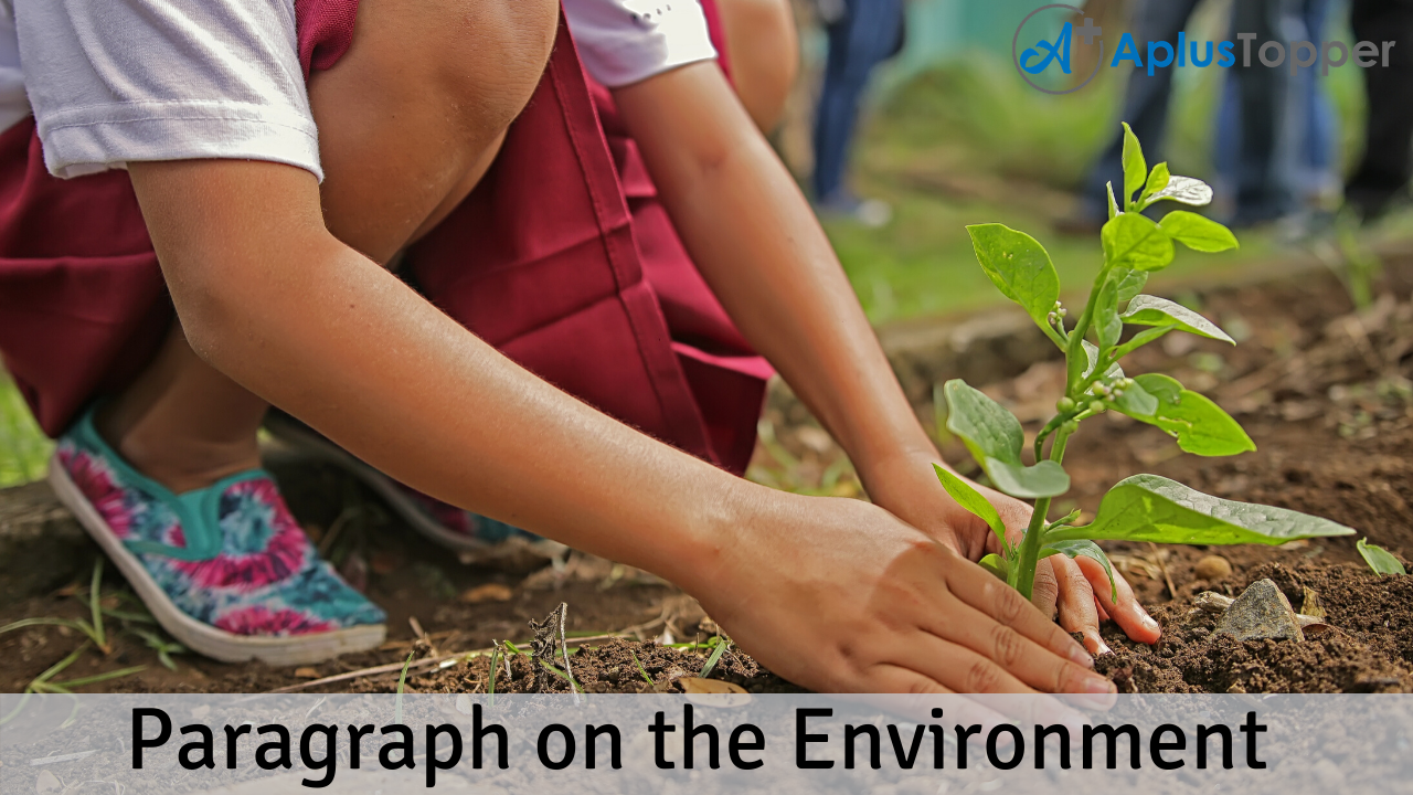 essay on environment 300 words