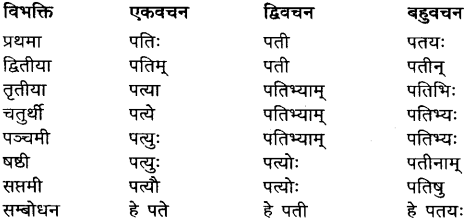 Pati Shabd Roop In Sanskrit