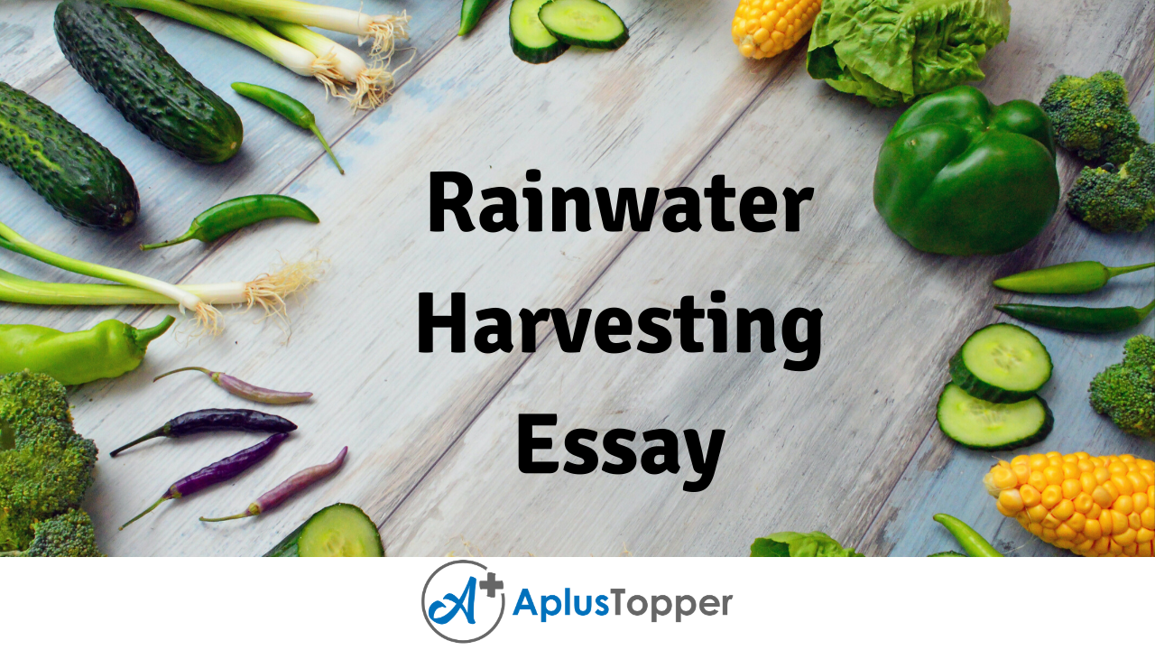 essay about rain water harvesting