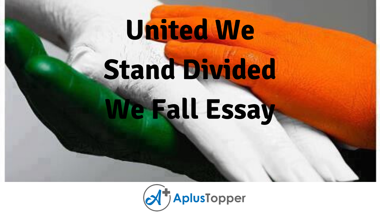 essay on united we stand