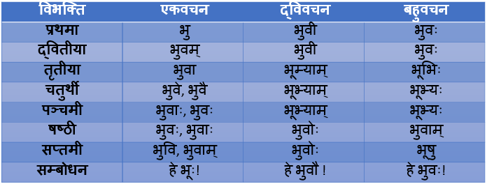 Bhoo Shabd Roop In Sanskrit
