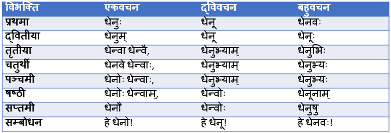 Dhenu Shabd Roop In Sanskrit