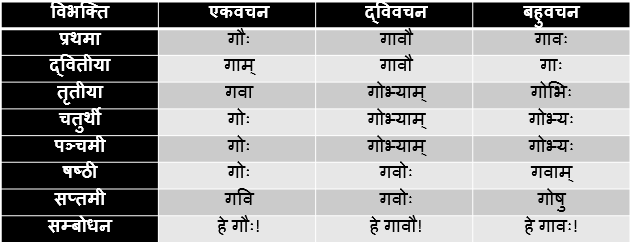 Go/Gau Shabd Roop In Sanskrit