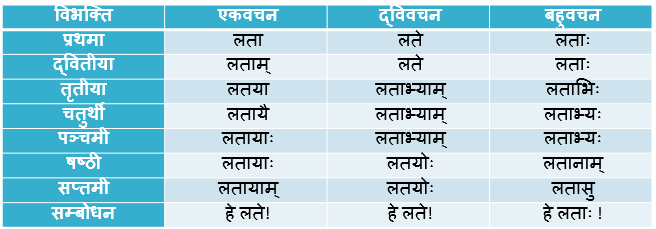 Lata Shabd Roop In Sanskrit