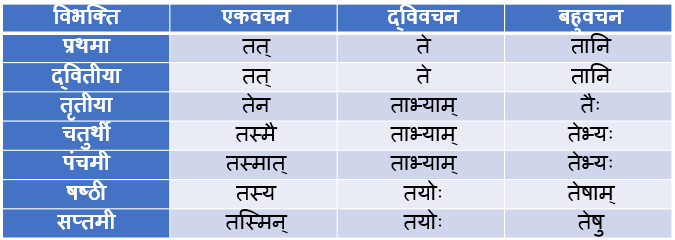 Tad Napunsak Ling Shabd Roop In Sanskrit 