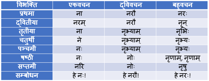 Nra Shabd Roop In Sanskrit