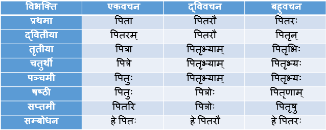 Pitr Shabd Roop In Sanskrit