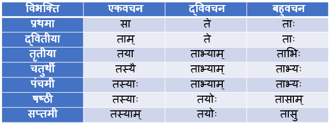 Tad Striling Shabd Roop In Sanskrit
