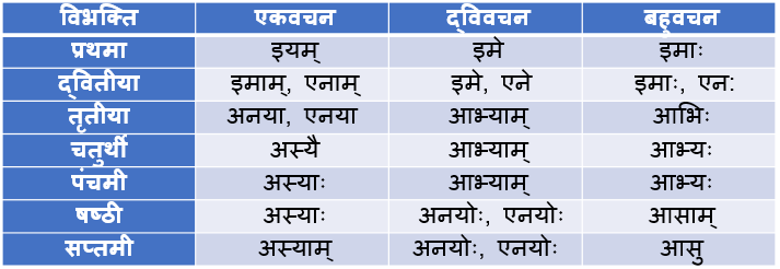 Idam Striling Shabd Roop In Sanskrit