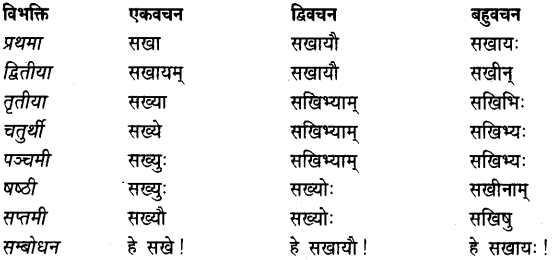 Sakhi Shabd Roop In Sanskrit