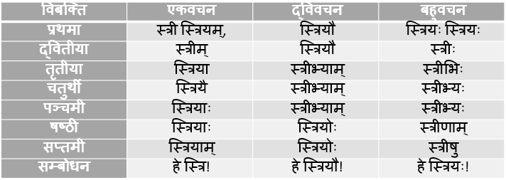 Stree Shabd Roop In Sanskrit