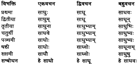 Sadhu Shabd Roop In Sanskrit.