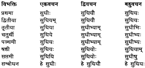 Sudhi Shabd Roop In Sanskrit