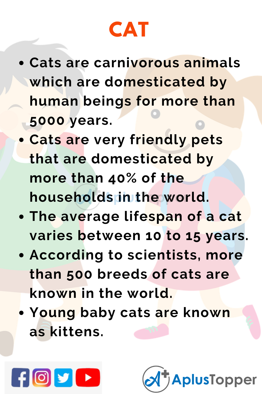 information about cat in english
