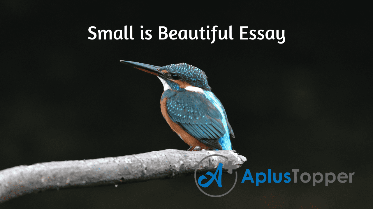 Small Is Beautiful Essay Essay On Small Is Beautiful For Students And Children In English A Plus Topper